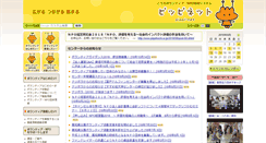 Desktop Screenshot of pippikochi.or.jp